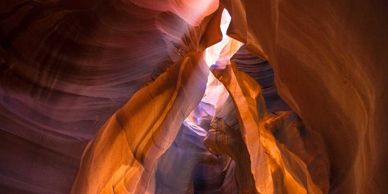 从.ai到.io：新兴行业专属域名注册趋势与云服务器托管策略分析