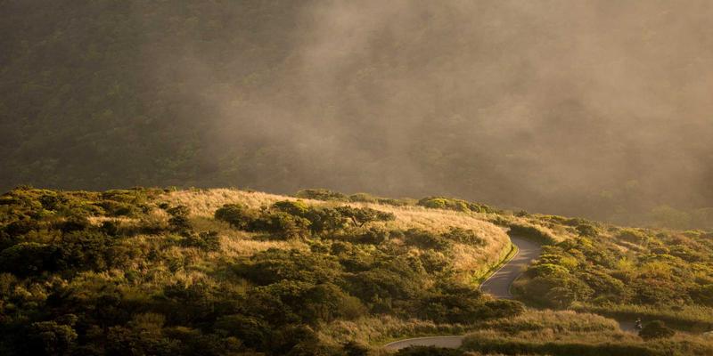 企业品牌保护第一步：商标域名注册与DNS解析全攻略