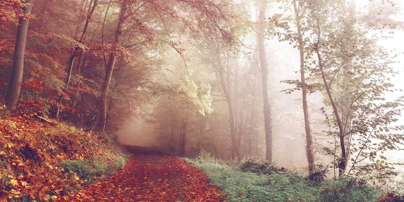 域名注册72小时黄金期：如何同步规划虚拟主机与云服务器