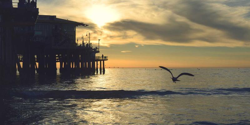 域名注册后端技术解析：从EPP协议到域名系统如何支撑网站托管与DNS服务