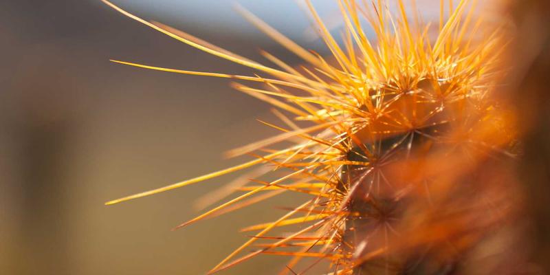 域名注册后第一步：如何正确设置域名服务器（Nameserver）指向你的主机托管服务