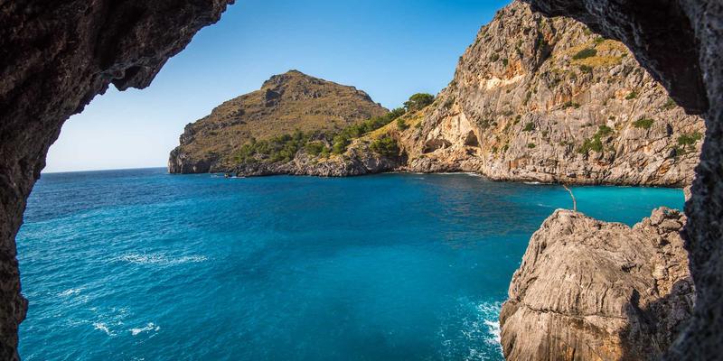 域名注册年限如何影响SEO排名？深度解析DNS服务与虚拟主机的关联