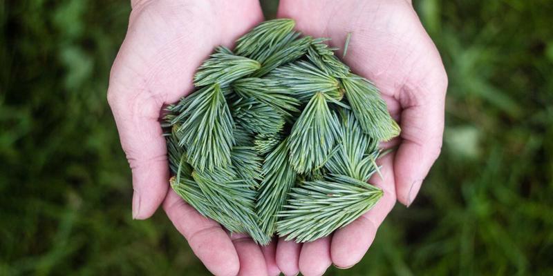 域名注册年限对SEO的影响：长期注册能否真正提升搜索排名？