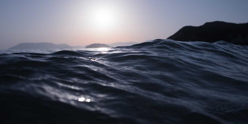 域名注册、虚拟主机与主机托管：构建网站成功的三大基石