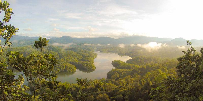 如何利用域名历史洞察对手？Whois数据在网站托管与主机托管市场调研中的实战应用