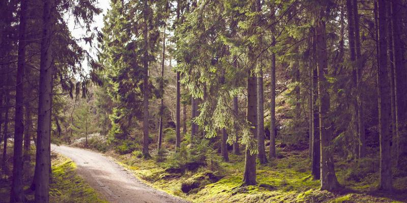 新创公司域名注册全指南：从品牌保护到成本控制的实战策略，兼顾云服务器与网站托管