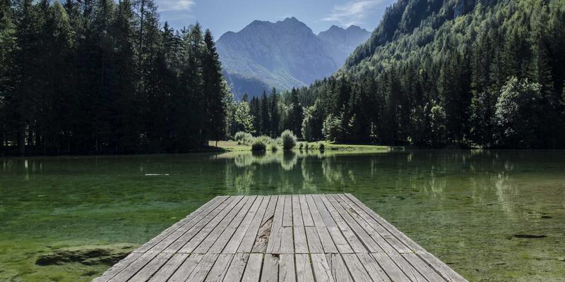 虚拟主机与域名注册新策略：如何用.tech、.ai、.app等新顶级域名提升行业辨识度